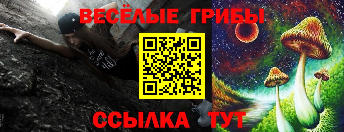 Егорьевск  Псилоцибиновые грибы мухоморы  Вход с VPN 